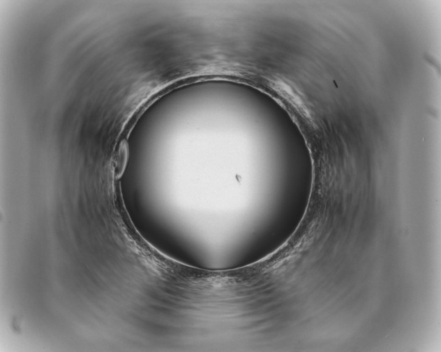 X0000094951268200712201129