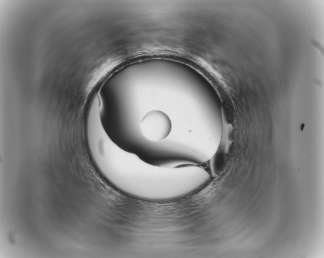 X0000094951269200712201129