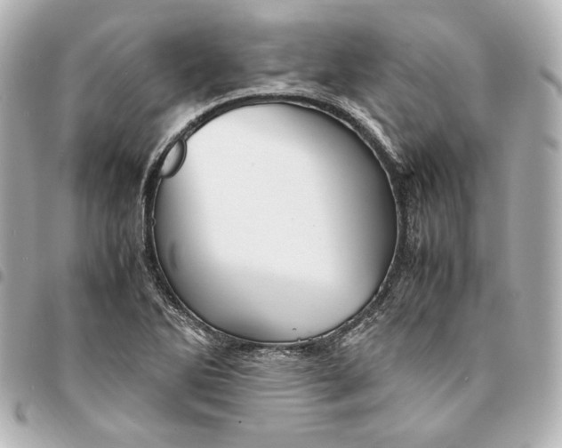 X0000094951270200712201129