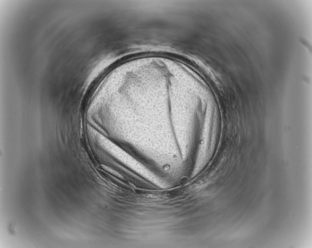 X0000094951271200712201129