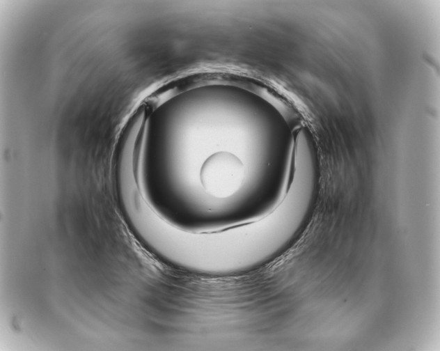 X0000094951272200712201129