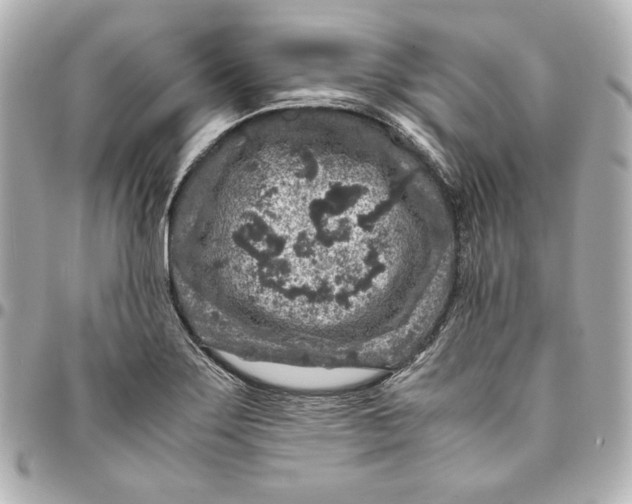 X0000094951275200712201129