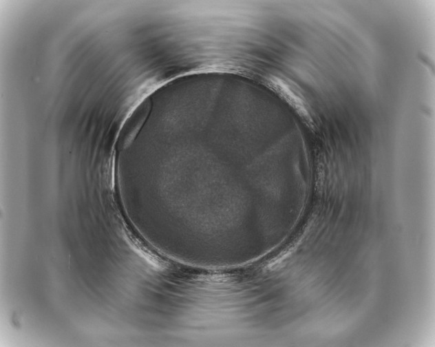 X0000094951276200712201129