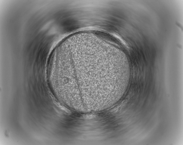 X0000094951278200712201129