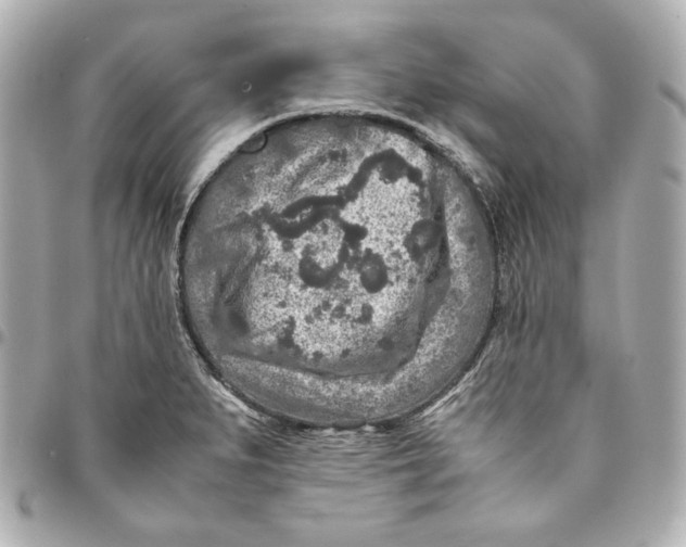 X0000094951279200712201129