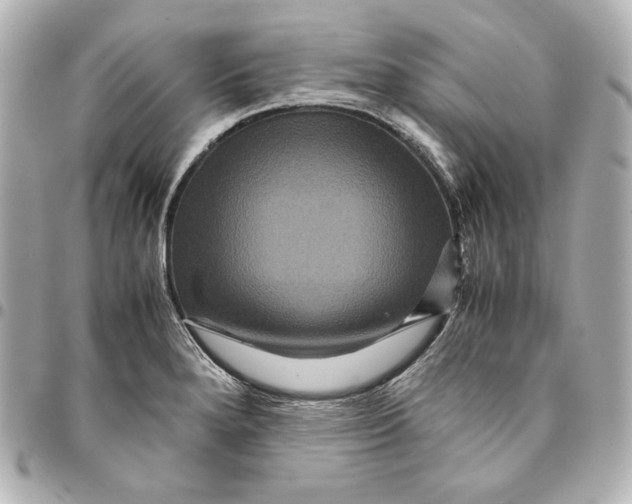 X0000094951280200712201129