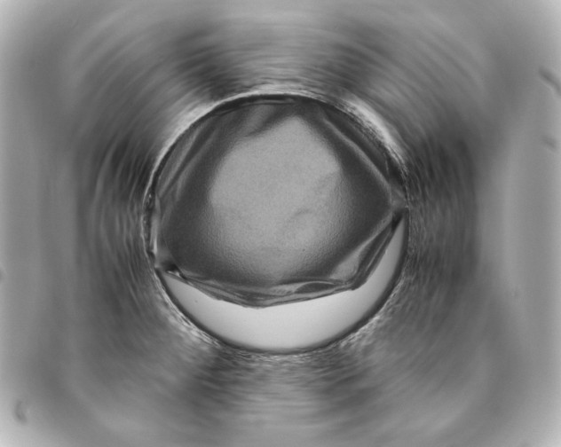 X0000094951284200712201129