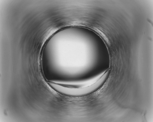 X0000094951285200712201129