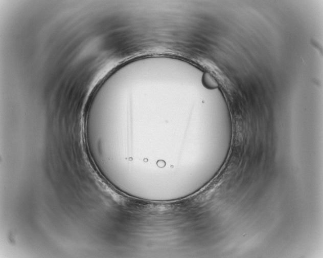 X0000094951286200712201129