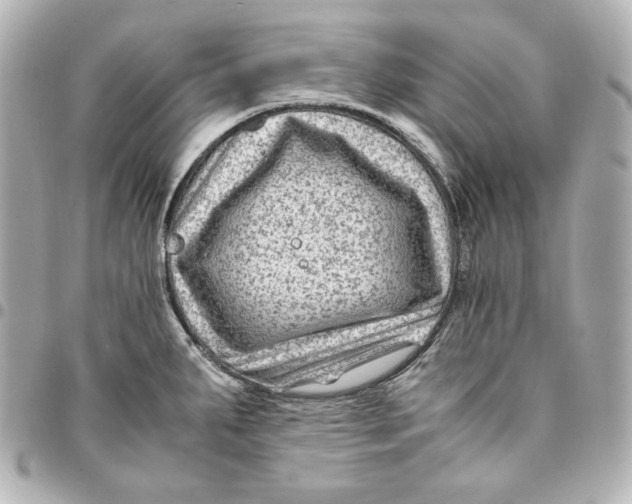 X0000094951287200712201129