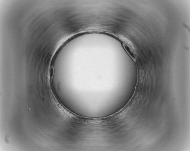 X0000094951288200712201129