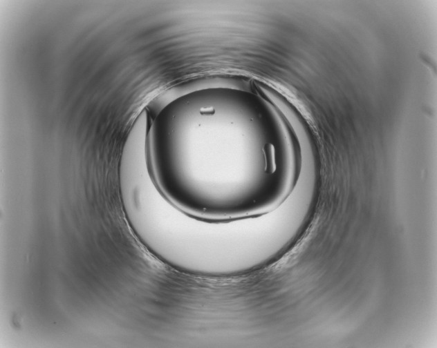 X0000094951289200712201129