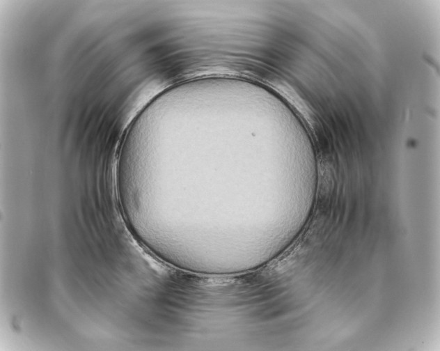 X0000094951290200712201129