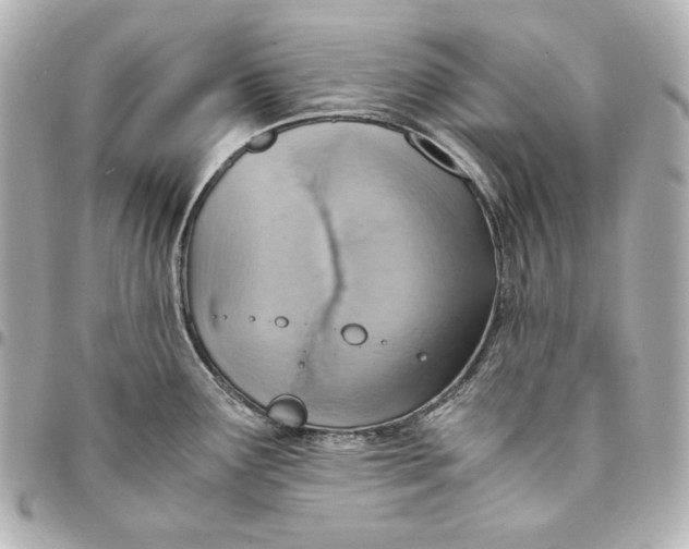 X0000094951291200712201129