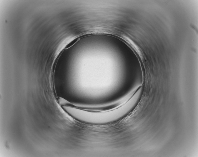 X0000094951293200712201129