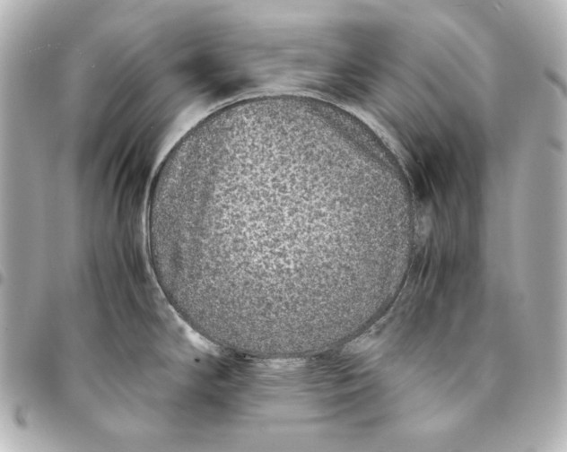 X0000094951294200712201129