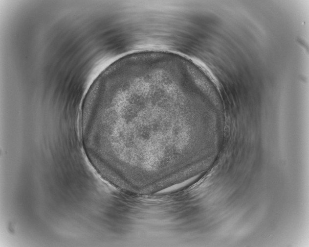 X0000094951295200712201129