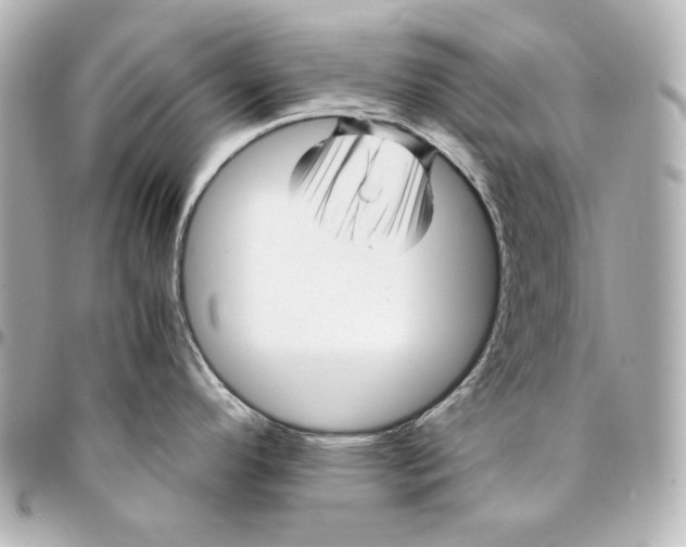 X0000094951296200712201129