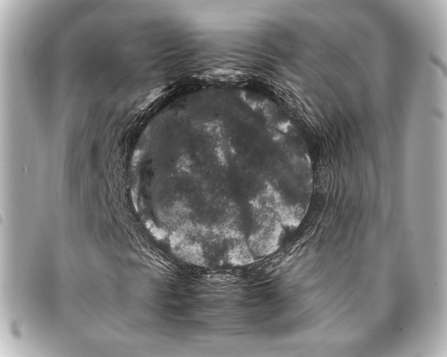 X0000094951297200712201128