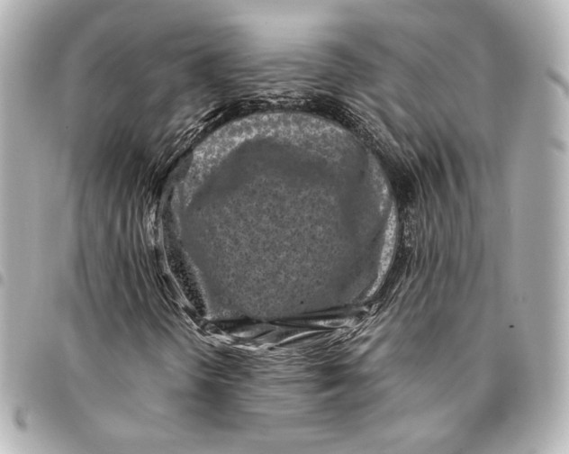 X0000094951298200712201128