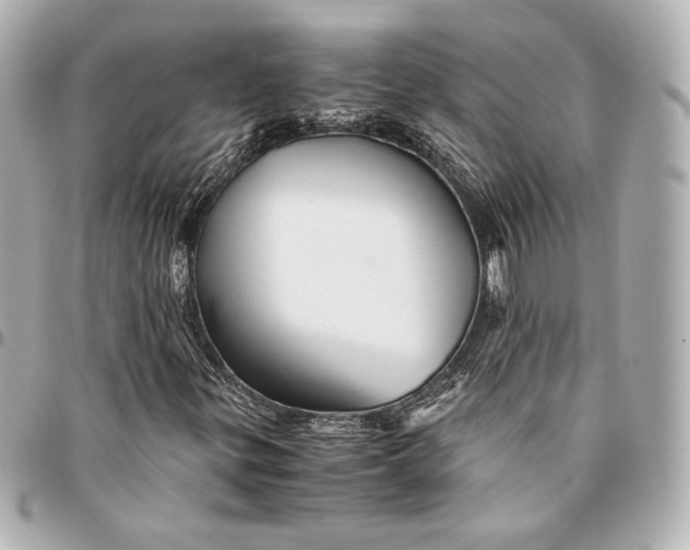 X0000094951299200712201128