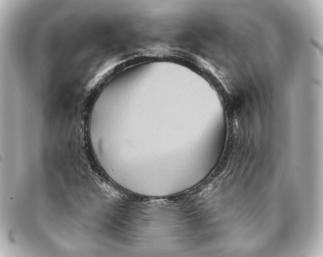 X0000094951304200712201128