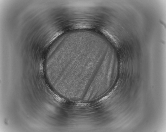 X0000094951305200712201128