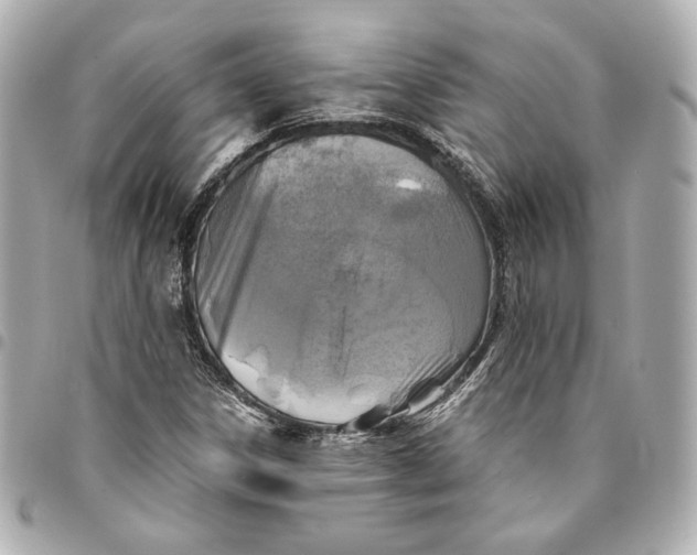 X0000094951306200712201128