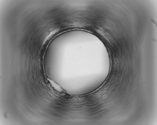 X0000094951307200712201128