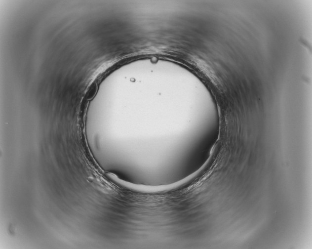 X0000094951308200712201128