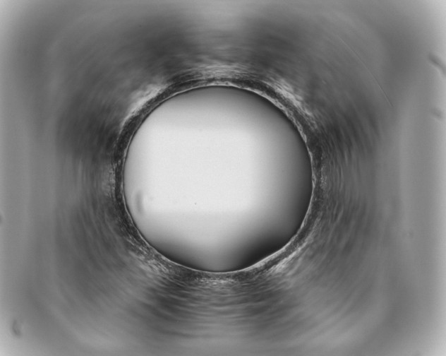 X0000094951309200712201128