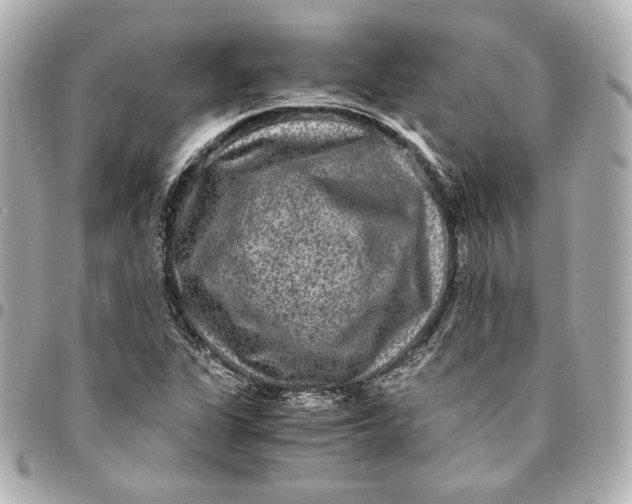 X0000094951311200712201128