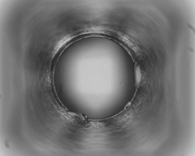 X0000094951312200712201128