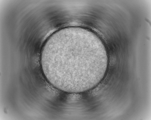 X0000094951314200712201128