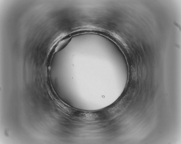 X0000094951318200712201128