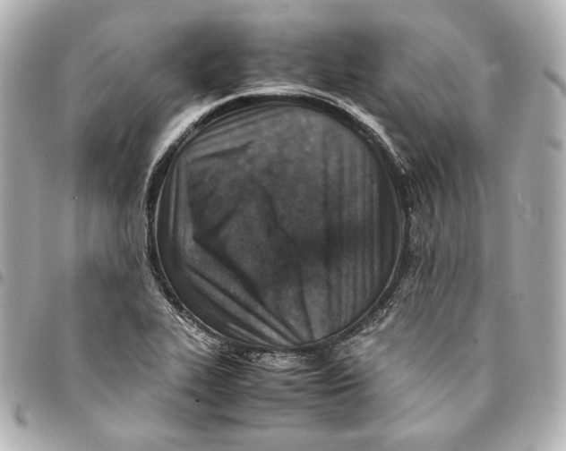 X0000094951319200712201128