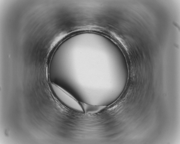 X0000094951320200712201128