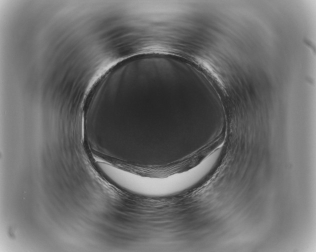 X0000094951323200712201128