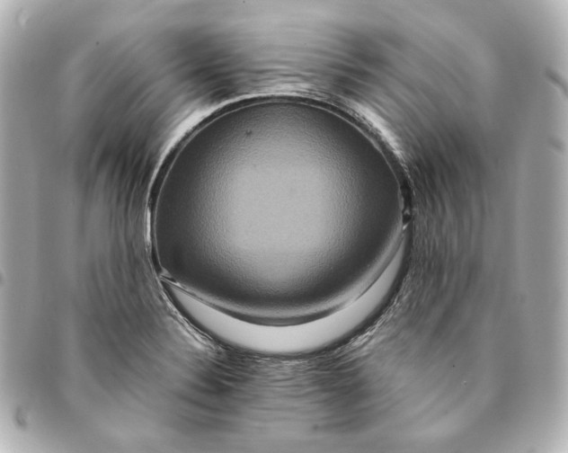 X0000094951324200712201128