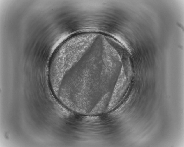 X0000094951325200712201128