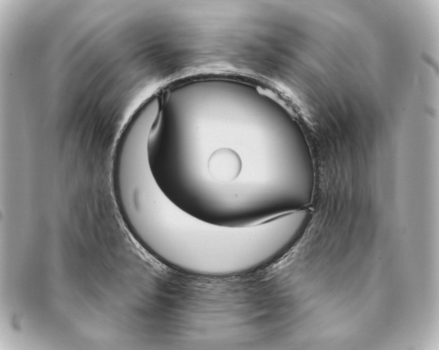 X0000094951326200712201128