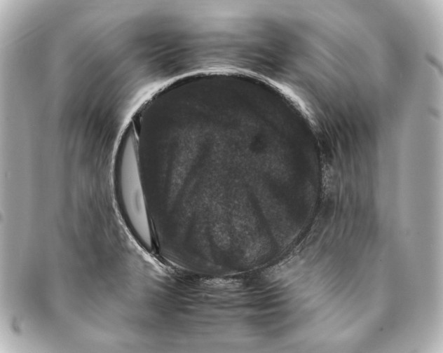 X0000094951327200712201129