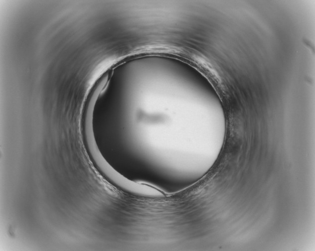 X0000094951328200712201129