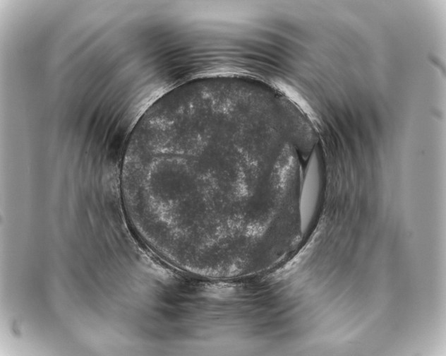 X0000094951329200712201129