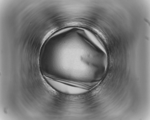 X0000094951330200712201129