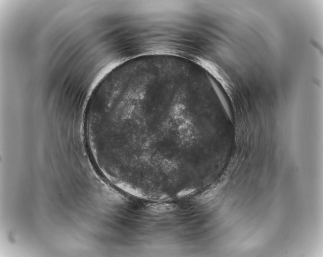 X0000094951331200712201129