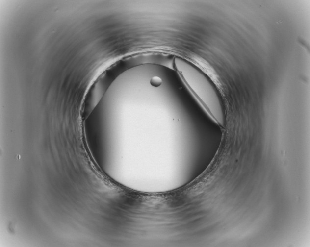 X0000094951332200712201129