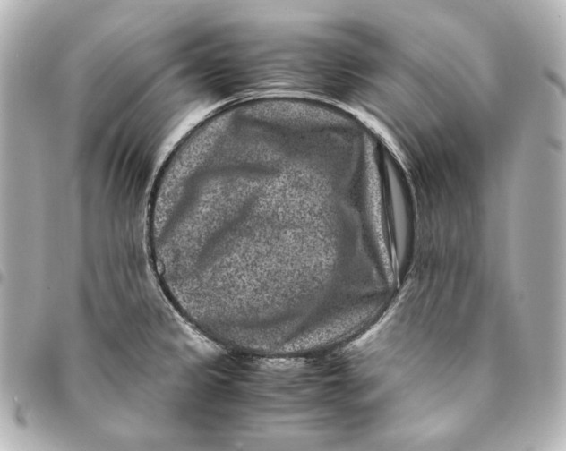 X0000094951333200712201129