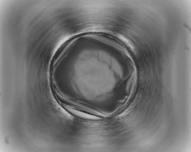 X0000094951334200712201129