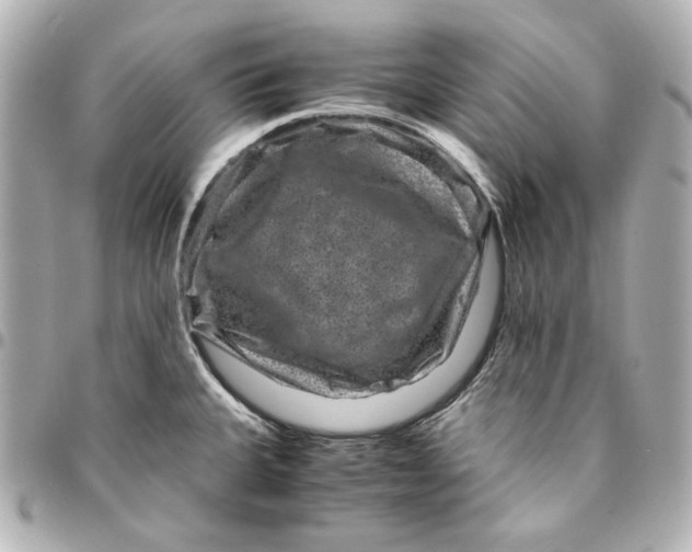 X0000094951335200712201129